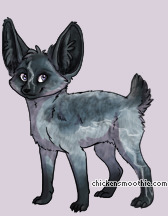 Pet