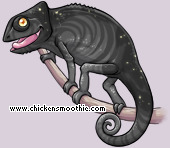 Pet