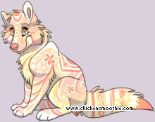 Pet