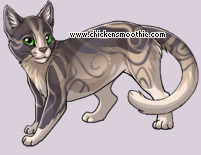 Pet