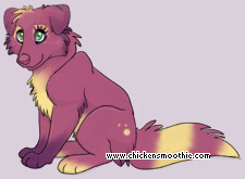 Pet