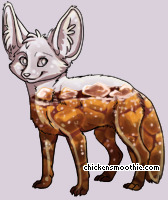 Pet