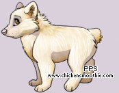 Pet