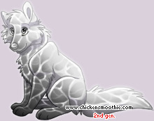 Pet