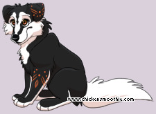 Pet