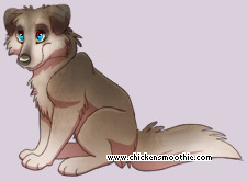 Pet