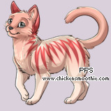 Pet