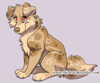 Pet