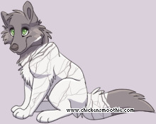 Pet