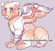 Pet