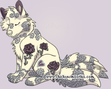 Pet