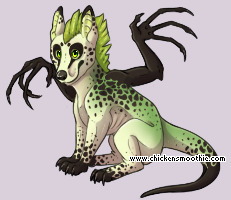 Pet