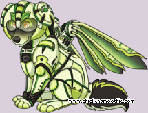 Pet