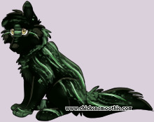 Pet