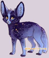 Pet