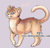 Pet