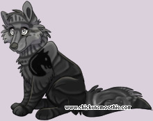 Pet