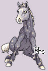 Pet