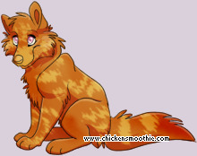 Pet