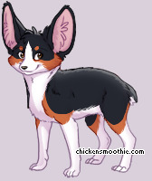 Pet
