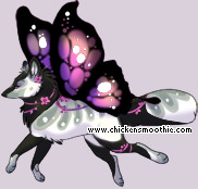 Pet