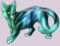 Pet
