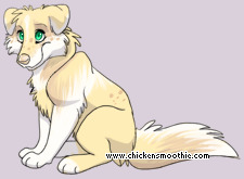 Pet