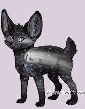 Pet