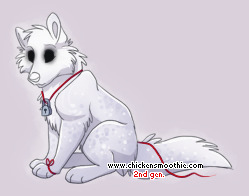 Pet