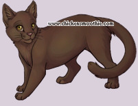 Pet