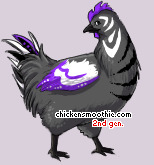 Pet
