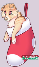 Pet