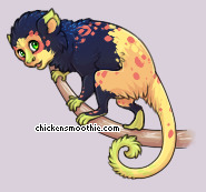 Pet