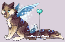 Pet