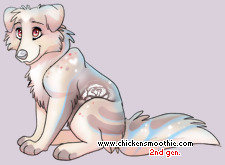 Pet
