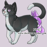 Pet