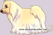 Pet