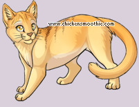 Pet