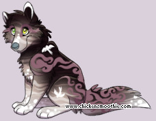 Pet