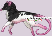 Pet