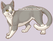 Pet