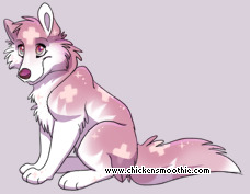 Pet