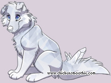 Pet