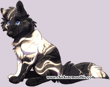 Pet