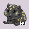 Pet