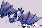 Pet