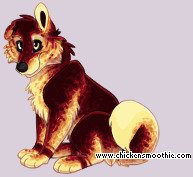 Pet