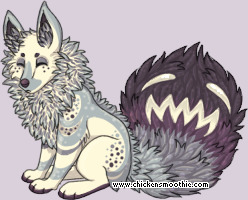 Pet