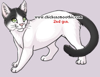 Pet