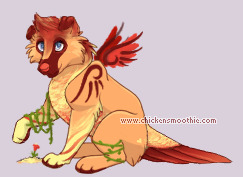 Pet